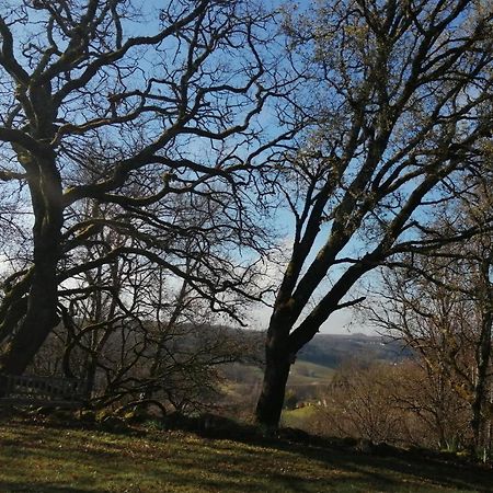 Gite Le Pigonnier Ecogite Le Luquet Saint Beauzeil 82150 المظهر الخارجي الصورة