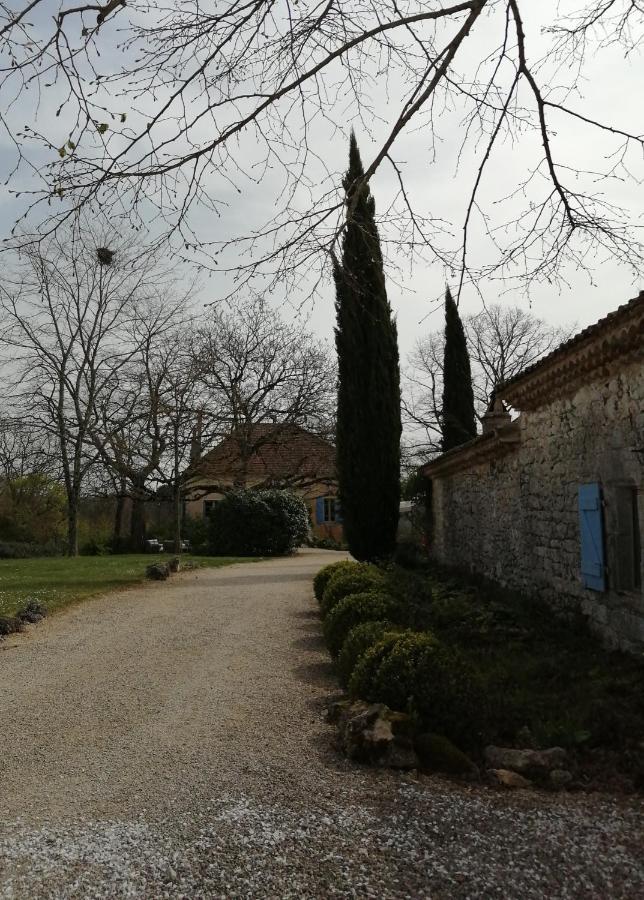 Gite Le Pigonnier Ecogite Le Luquet Saint Beauzeil 82150 المظهر الخارجي الصورة