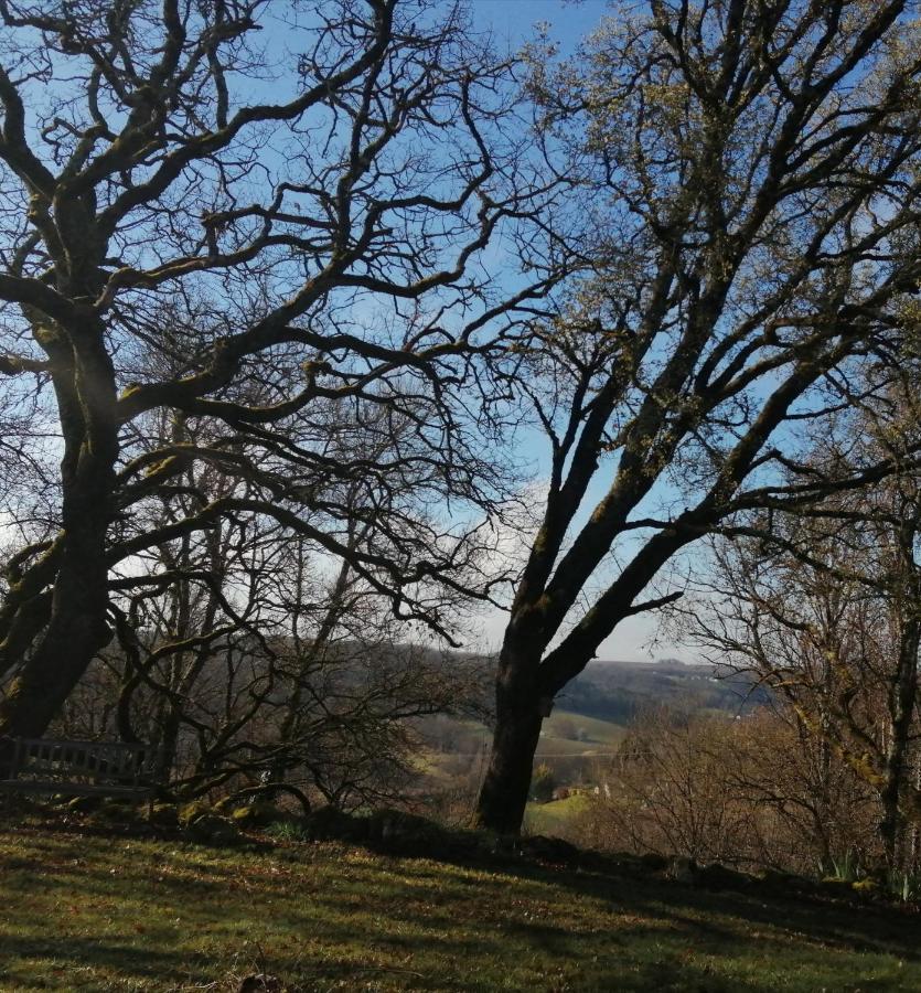 Gite Le Pigonnier Ecogite Le Luquet Saint Beauzeil 82150 المظهر الخارجي الصورة