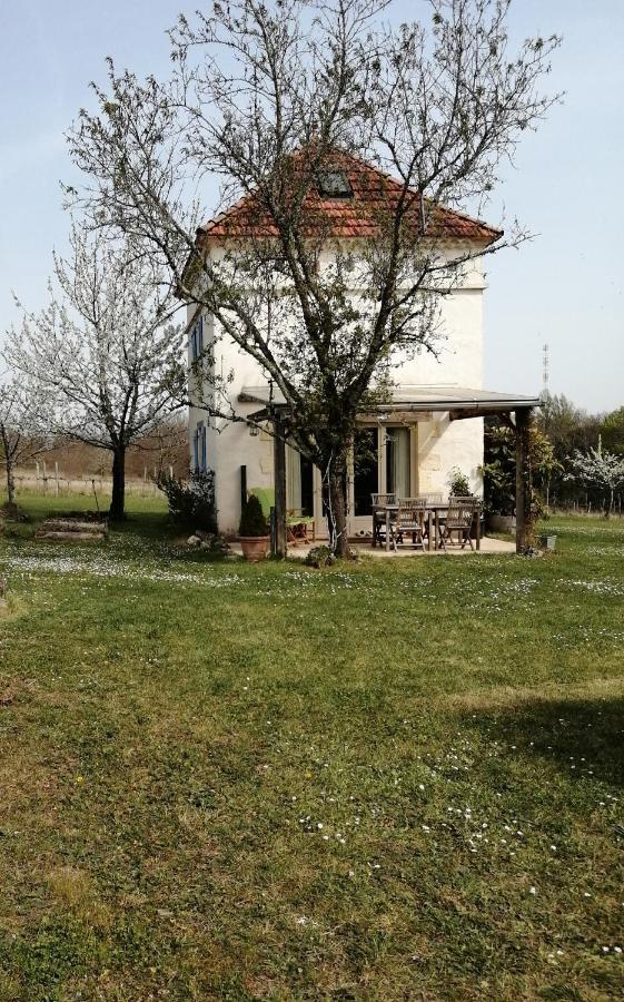 Gite Le Pigonnier Ecogite Le Luquet Saint Beauzeil 82150 المظهر الخارجي الصورة