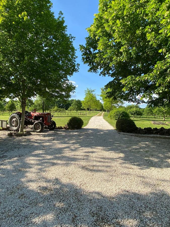 Gite Le Pigonnier Ecogite Le Luquet Saint Beauzeil 82150 المظهر الخارجي الصورة